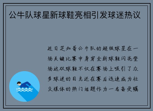 公牛队球星新球鞋亮相引发球迷热议